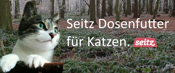 Nassfutter für Katzen